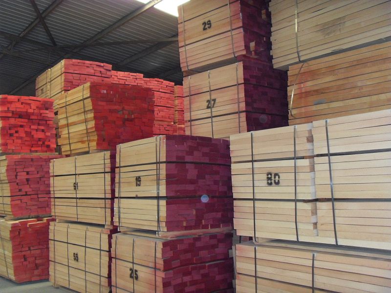 ���������W�ޙ�ľA����