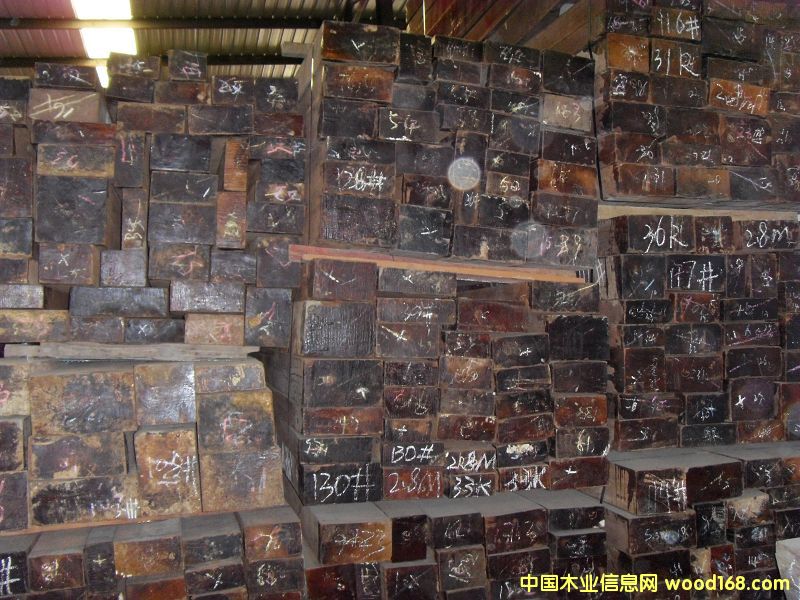 ������ľ��Ԕ����B