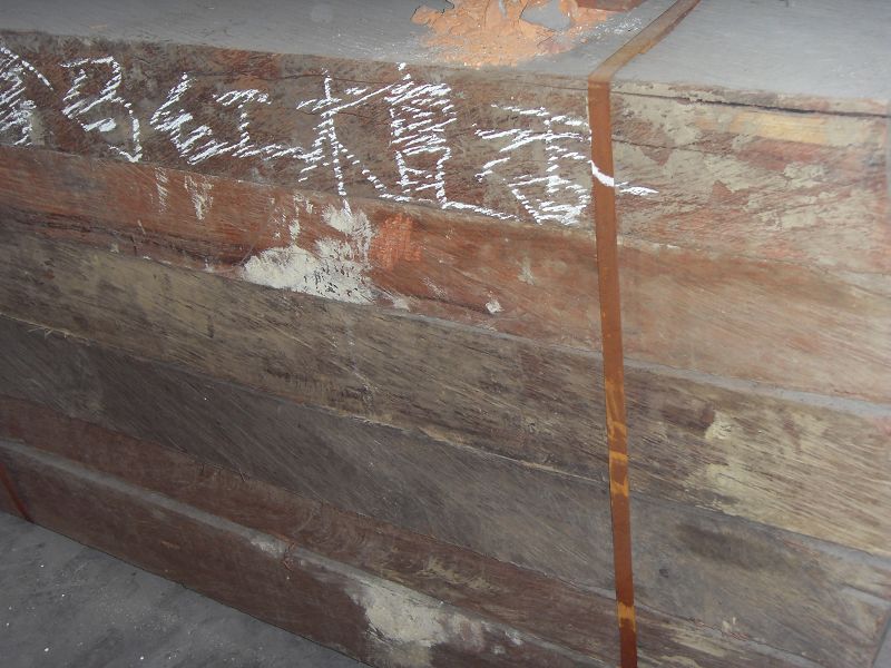 ���������t̴��