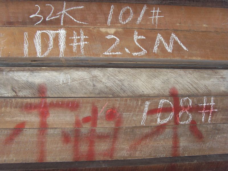 ����������ľ피�����