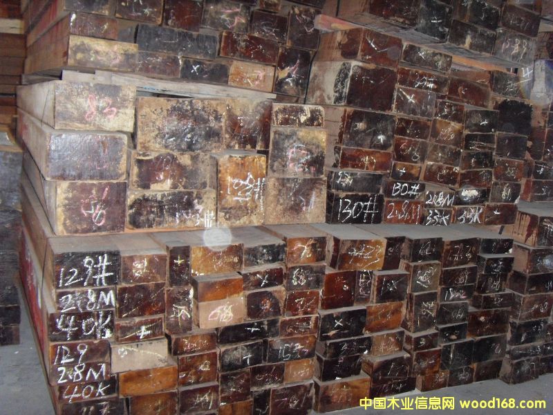 ��ľ���ϵ�Ԕ����B