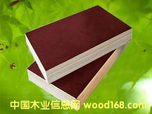 �c���鿴film faced plywood�Ŵ�DƬ