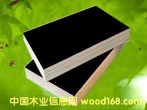 �c���鿴film faced plywood�Ŵ�DƬ