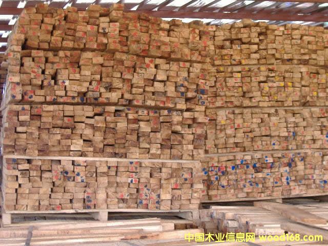 �c���鿴�M�����zľ�Ŵ�DƬ