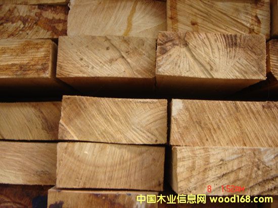 �c���鿴�M�����zľ�Ŵ�DƬ