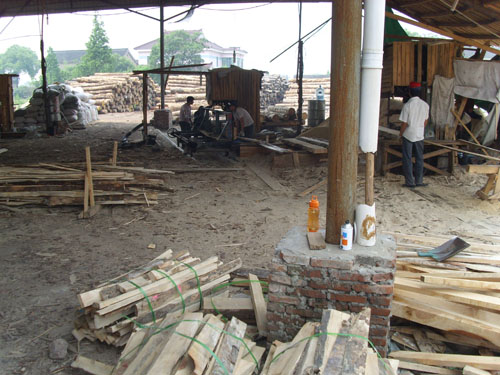 ����ӹ�ľ�ĵ�Ԕ����B