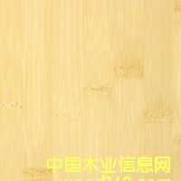 ��ɫƽ����Ƥ��Ԕ��(x��)��B