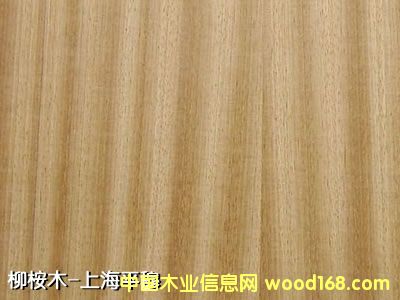 ����ľ��Ԕ����B