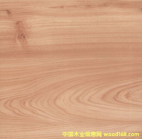 9691��Ԕ����B