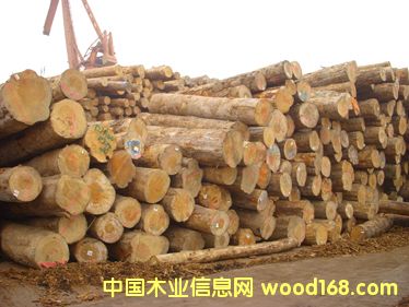 ���ɵ�Ԕ����B