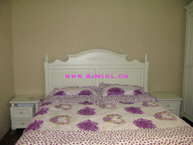 �Wʽ���׼Ҿߵ�Ԕ����B