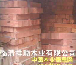 ����ľ��ľ��Ԕ����B