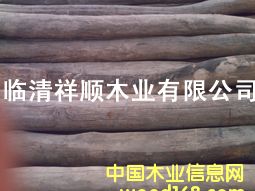 ����ľ����Ԕ����B