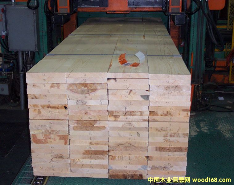 SPF 3����Ԕ����B