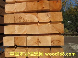 �Fɼ�� 1����Ԕ����B