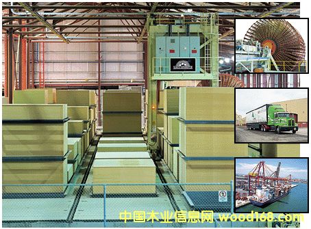 FSC���ܶȰ��Ԕ����B