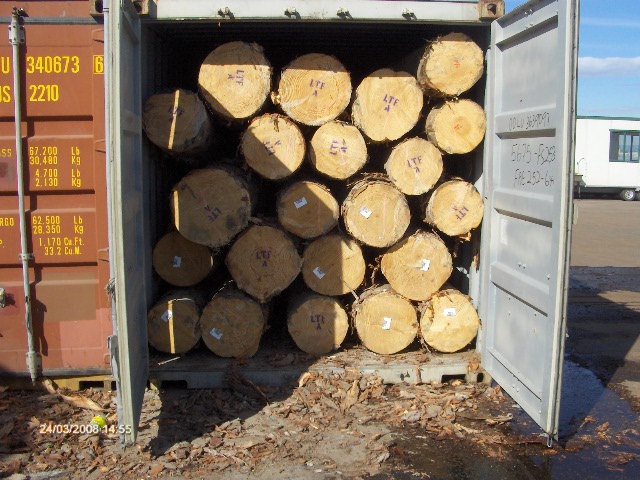 NZ PINE��Ԕ����B