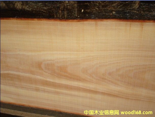 �W�ޙ�ľ��Ԕ��(x��)��B