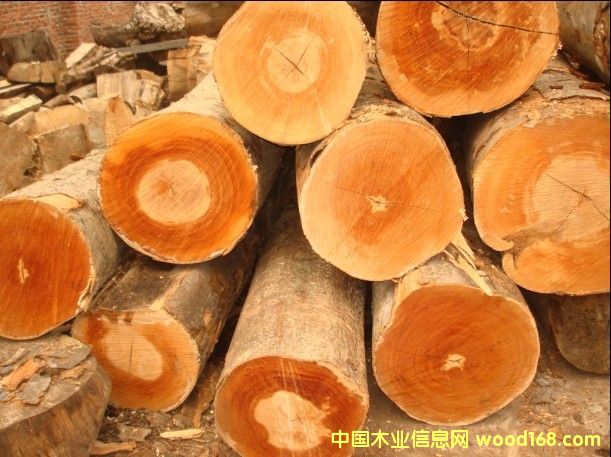 �W�ޙ�ľ��Ԕ��(x��)��B