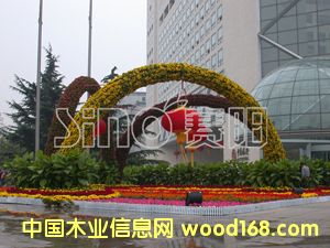 ���w�����DƬ��Ԕ����B