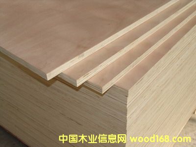 Ư�ח�ľ�N����Ԕ����B