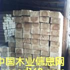 ��ľ���ϵ�Ԕ����B