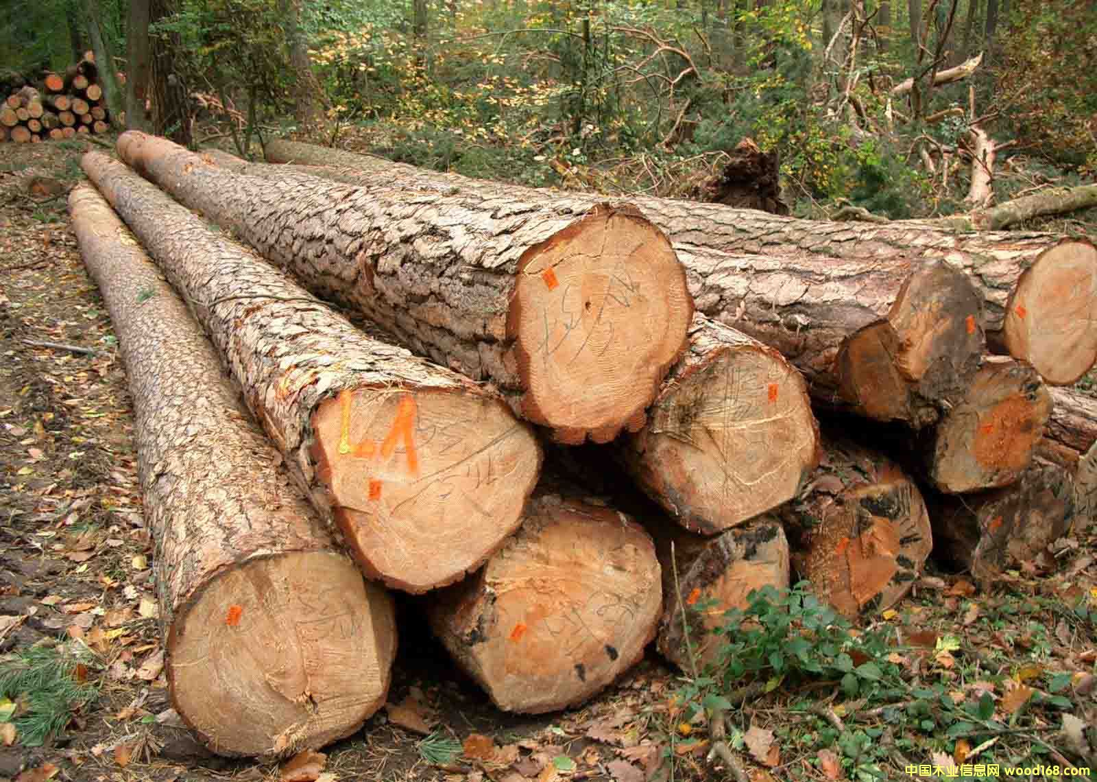 ���ɵ�Ԕ����B