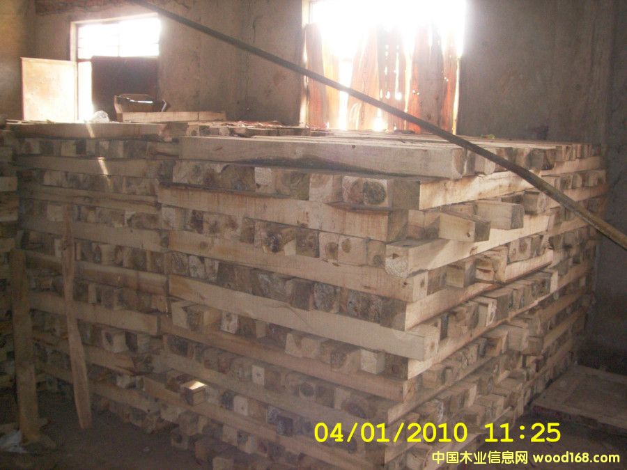 ��ľľ����Ԕ����B