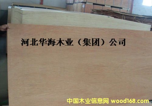 С�l���Ԕ����B