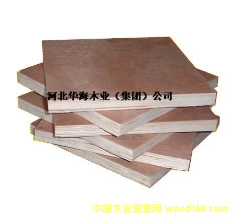 ������Ԕ����B