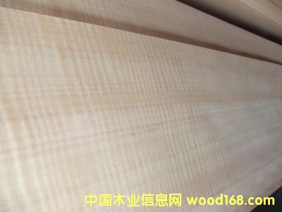 ����-0.6�tӰ��Ԕ����B