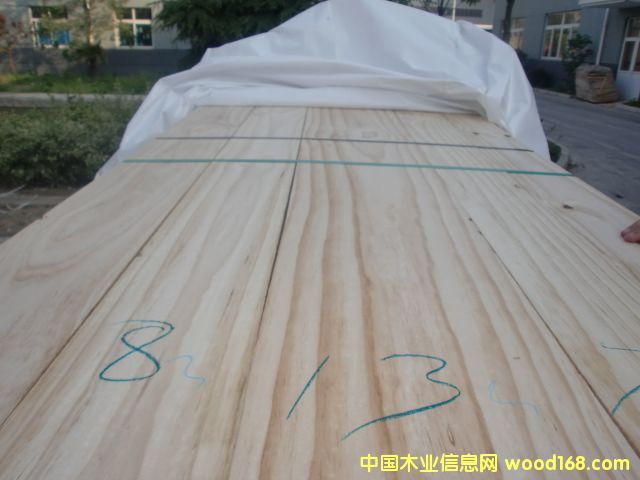 �����mݗ����