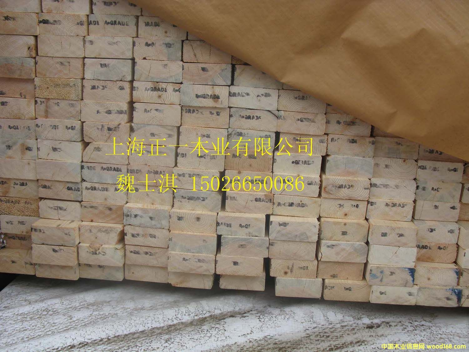 ľ�݄e���ò�