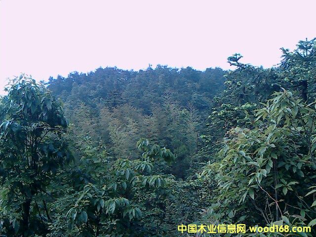 �ֵ����U�а�