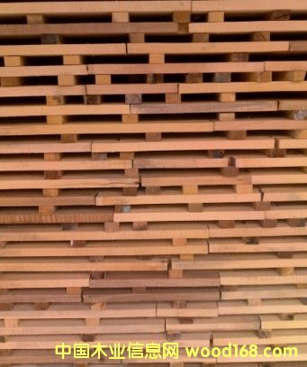 ���sľ��Ԕ����B