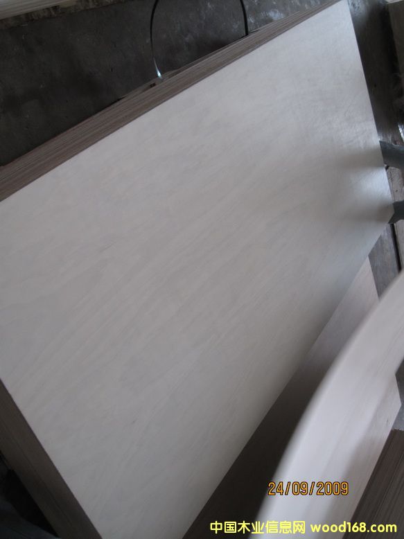 ��ľ�z�ϰ��Ԕ����B