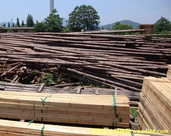 ľ��ĵ�Ԕ����B