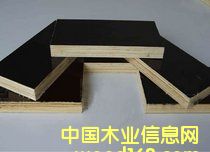 ����ģ���Ԕ����B