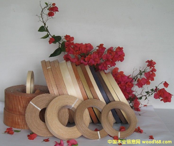 �Ҿ߷�߅�l��Ԕ��(x��)��B