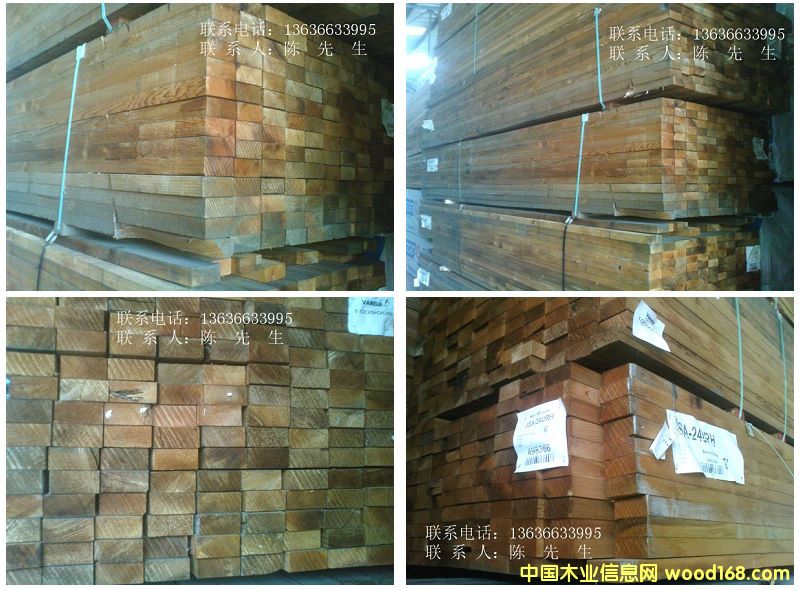 �tѩ�ɵ�Ԕ��(x��)��B