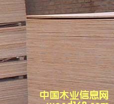 �ߙn��ˮ����ģ���Ԕ����B