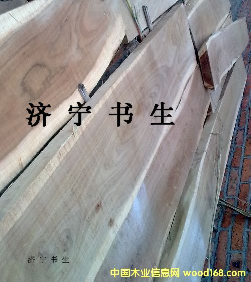 �c���鿴��ľ��ķŴ�DƬ