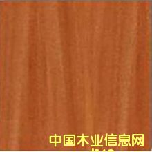 ɳ���� ����