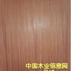 �t̴��ֱ)����