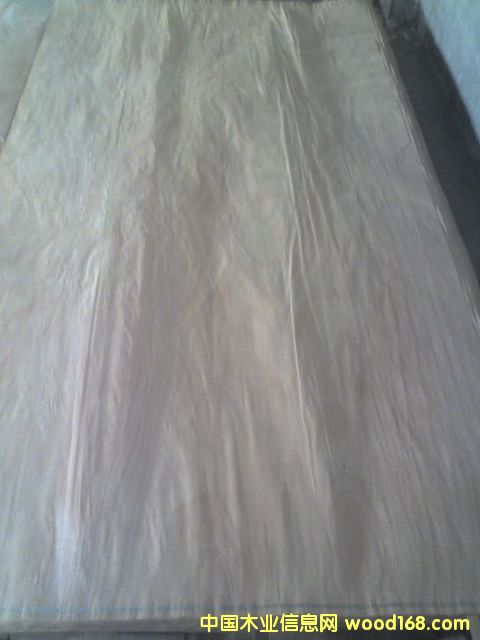 �һ�о�ΰ��Ԕ����B