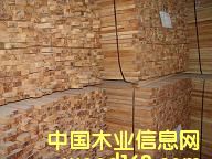 ���zľ��Ԕ��(x��)��B