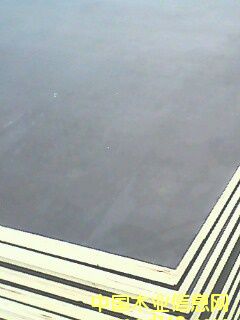 �ڸ�Ĥ����ģ���Ԕ����B