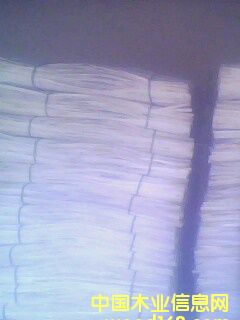 1��(g��)2�ė�Ƥ��Ԕ��(x��)��B