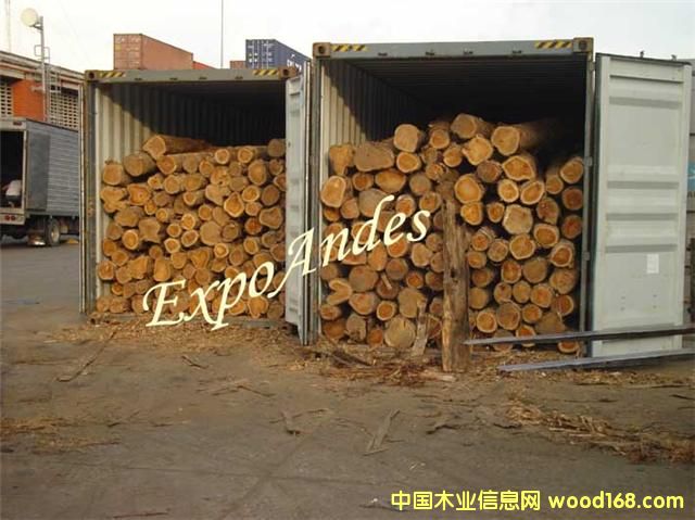 ��ľԭľ��Ԕ����B