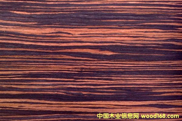 ��̴ľ�b�����Ԕ����B